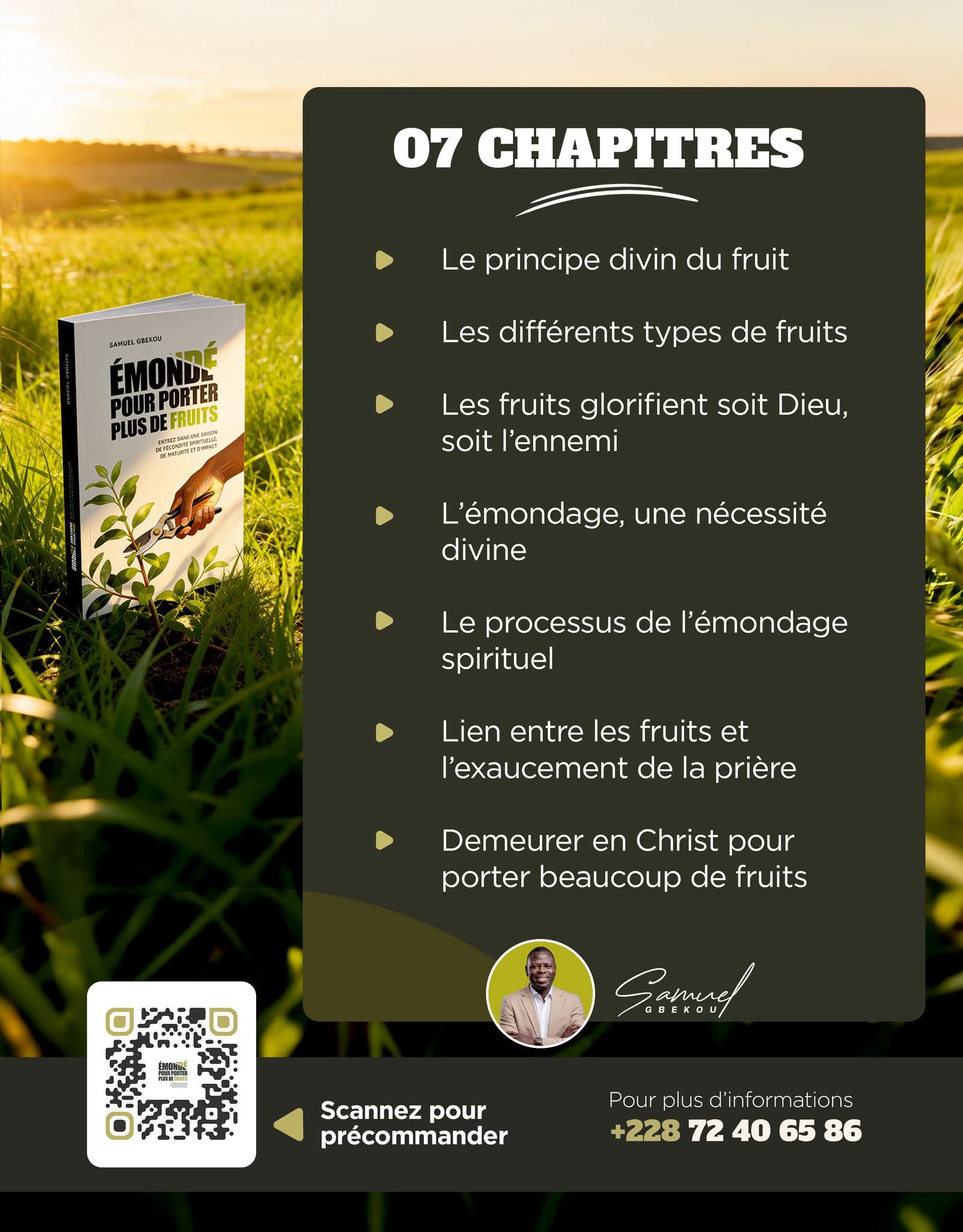 Infographie des 7 chapitres du livre